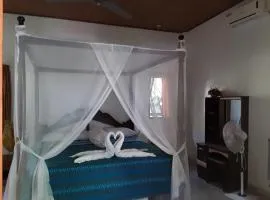 蓝星咖啡馆及山林小屋