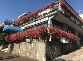 普里马维拉酒店，位于代森扎诺-德尔加达的酒店