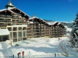 Les Terrasses Du Mont Blanc，位于普拉茲德里斯Téléski de l'Hôtel附近的酒店