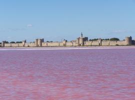 Aigues-Mortes villa prés des remparts，位于艾格-莫尔特的酒店