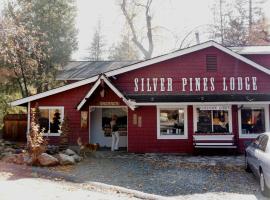 银松小屋宾馆，位于爱德怀的酒店