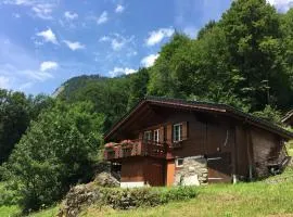 Chalet Julian