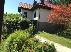 Wine & Nature & Tour