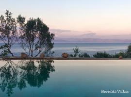 Nereidi Pool Villas，位于Porto Ozias的别墅