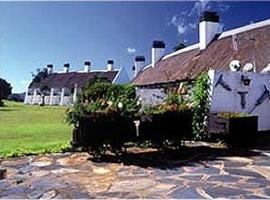 Mount Sheba Country Lodge，位于Mount Sheba的酒店