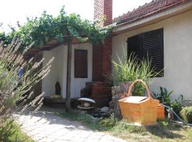 Pržić House，位于内戈廷的酒店