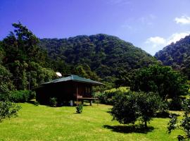 Lemon House Monteverde，位于蒙泰韦尔德哥斯达黎加的山林小屋
