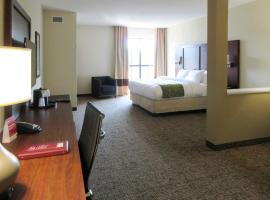 Comfort Suites Greenville South，位于Piedmont皮肯斯县机场 - LQK附近的酒店