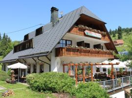 Hotel & Restaurant Grüner Baum - Die Grüne Oase Am Feldberg，位于费尔德伯格的滑雪度假村