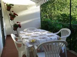 Casa sul bosco