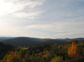 Landgasthof Gruss，位于布里隆的宾馆