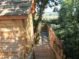 Nuits perchées à Laroque