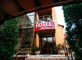Altin Palace，位于Comrat的酒店
