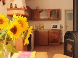 Ferienhaus Mühlberg