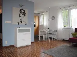 MT Apartments
