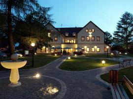 Hotel Modrzewiowy Dwór，位于格利维采的酒店
