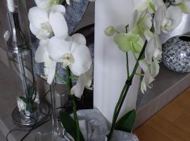 L'Orchidée，位于Lassay的酒店