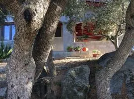 S'umbra de S'ozzastru