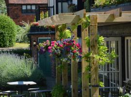 海豚宾馆，位于索普尼斯的酒店