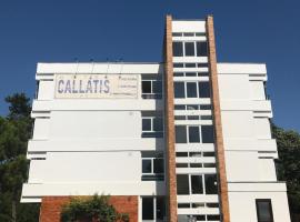 Hotel Callatis，位于尼普顿的酒店