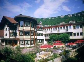 Hotel Adler mit Gästehaus Herzog Ulrich，位于利希滕施泰因/巴登的酒店