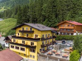 Alpenpension Gastein，位于巴德加斯坦的旅馆