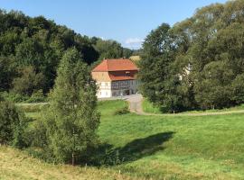 Ferienwohnung Richtermühle，位于Saupsdorf的自助式住宿