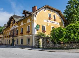 崔伯尼尔霍夫酒店，位于特里本的酒店