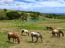 La Ferme des Etangs