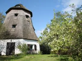 Mühle Beckenkrug