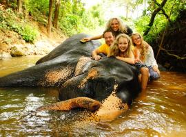 Jungle Village Homestay，位于平纳瓦拉的酒店