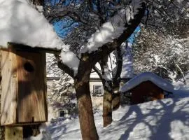 Ferienhaus Hirschnest