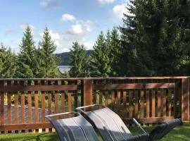 Apartmány Pinie Lipno