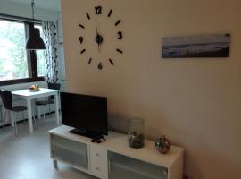 A lovely one-room apartment near the city centre.，位于瓦萨特罗皮克兰迪亚水上乐园附近的酒店