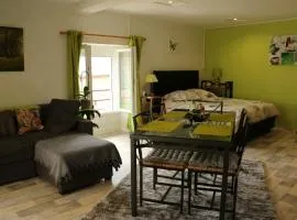Appartement T1