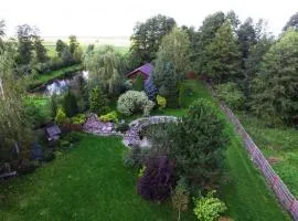 Wieża nad Biebrzą