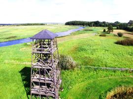Wieża nad Biebrzą，位于Dolistowo的酒店