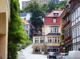 Große Wohnung in dritter Etage mit Terrasse im Altstadtzentrum - Ferienwohnung Chiplakoff