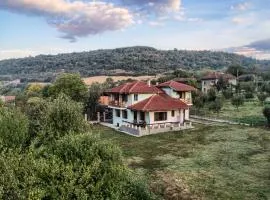 Guest House Villa Bozhenitsa
