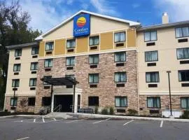 Comfort Inn & Suites Brattleboro I-91