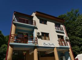 Pensiunea Pinul Negru，位于伯伊莱海尔库拉内的酒店