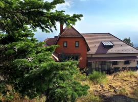 多拉塔别墅酒店，位于尼科洛西的酒店