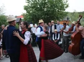 Csipkeszeg Bed & Breakfast Sic / Szék Romania