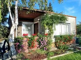 Bungalow Krzyzaniak