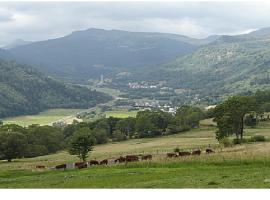 Vacances au pied des Monts du Cantal，位于拉维西尔德昂特蒙山口附近的酒店