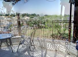 vip charming huge App penthouse like private villa，位于‘En Gannim的酒店