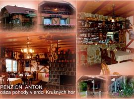 Restaurant Pension-Anton，位于亚希莫夫的家庭/亲子酒店