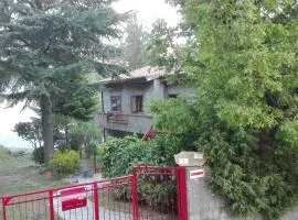 Casa Vacanza Giardino