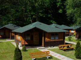 Camping Baltic，位于科沃布热格的木屋