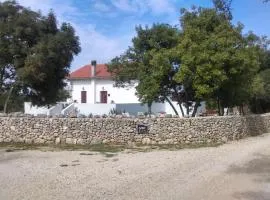 House Soni - 800 m from the sea